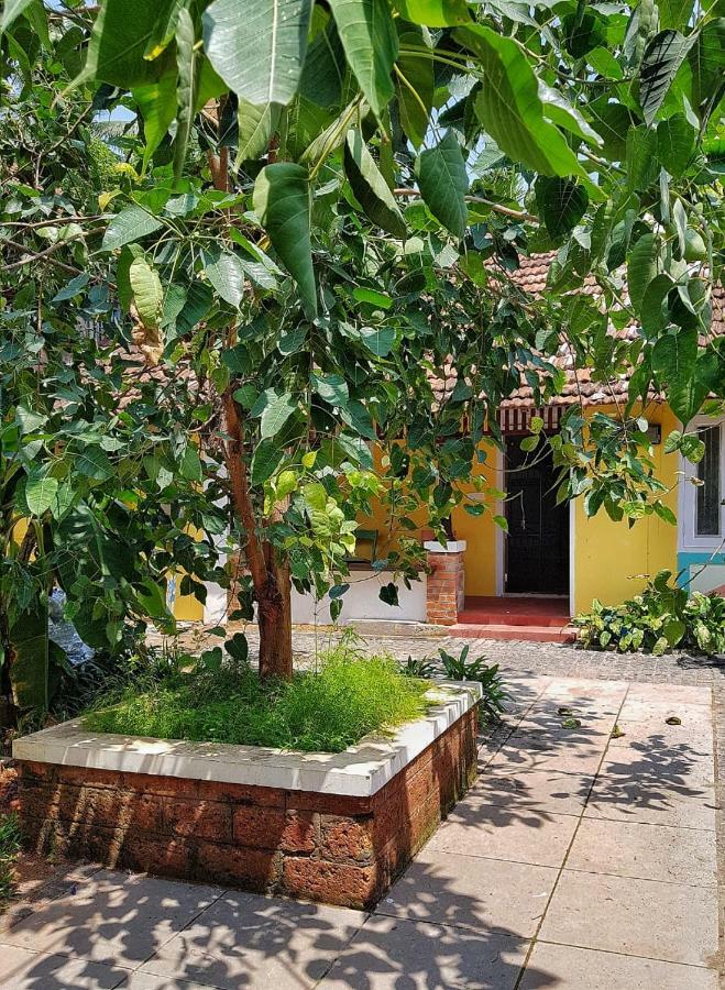 Design Ashram Hostel Kozhikode Bagian luar foto